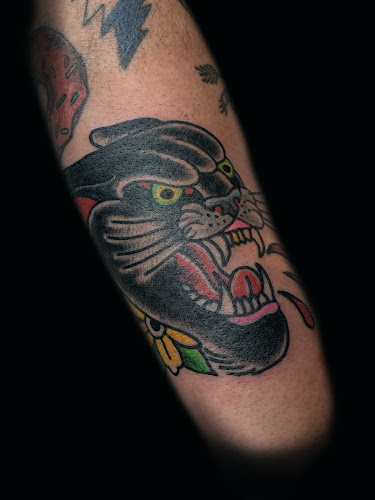 Seven Symbols Tattoo tattoo shop in Burlington, Vermont