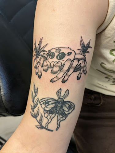Kindness Tattoos & Gallery tattoo shop in Carbondale, Illinois