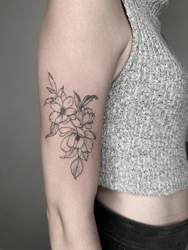 Venus Tattoo Studio tattoo shop in Charlotte, North Carolina