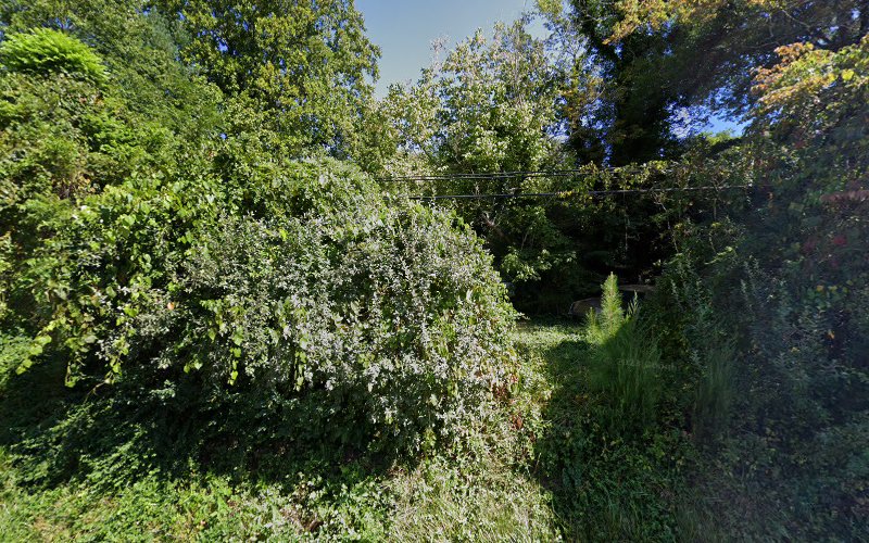 Flash Tat-2 tattoo shop in Charlottesville, Virginia