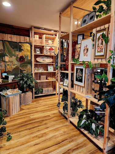 Hollow's Tattoo Studio & Art Gallery tattoo shop in Collinsville, Connecticut