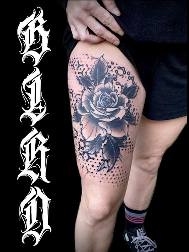 TattooBird tattoo shop in Cuyahoga Falls, Ohio