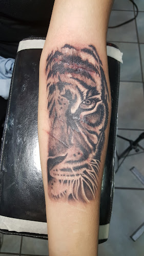 Exotic Tattoo tattoo shop in El Paso, Texas