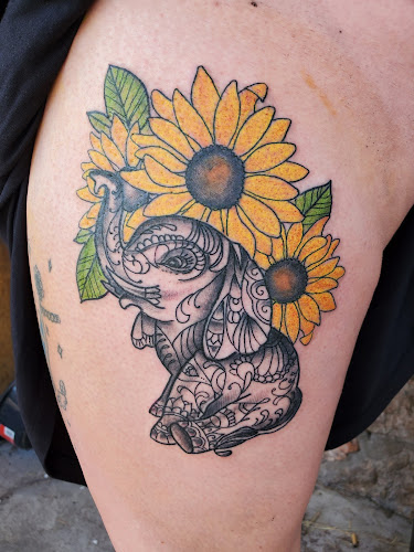 Mesa Street Tattoo tattoo shop in El Paso, Texas