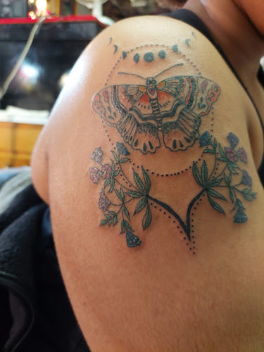 Plaid Cat Tattoos tattoo shop in Elyria, Ohio