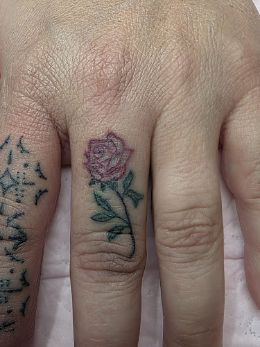 Lady-Like Studios - Professional tattoo shop in Fond du Lac, Wisconsin