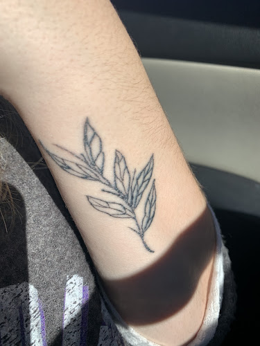 Painted Lady Tattoos and Piercing tattoo shop in Harrisonburg, Virginia