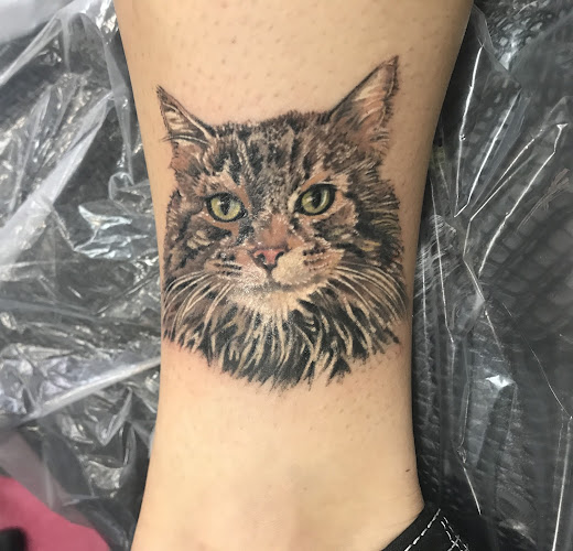 Mantis Tattoo tattoo shop in Irwin, Pennsylvania