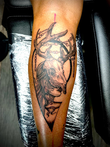 Frenzy INK tattoo shop in Johnson City, Tennessee