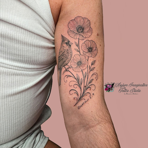 Asylum of Imagination Tattoo Studio tattoo shop in Knightdale, North Carolina