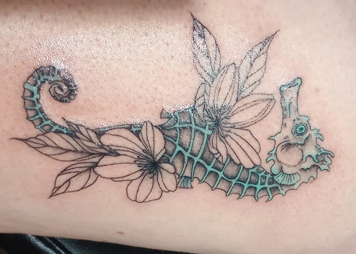 Asylum of Ink - Professional tattoo shop in Knoxville, Illinois