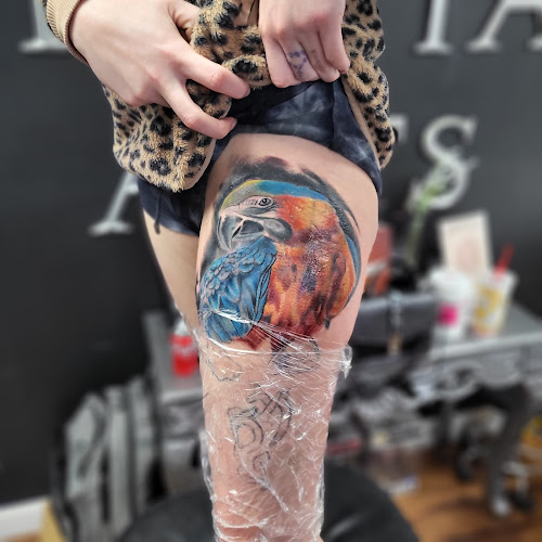 Pivotal Arts Tattoo chapman highway tattoo shop in Knoxville, Tennessee