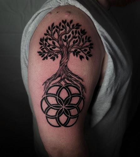 3 Kings Tattoo and Piercing tattoo shop in Lafayette, Louisiana