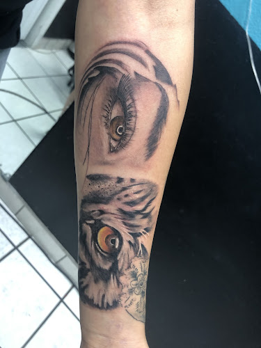 DNA Ink Tattoo and Piercing tattoo shop in Las Cruces, New Mexico