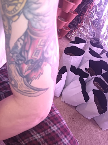 Valor Tattoo 5-Points tattoo shop in Levittown, Pennsylvania