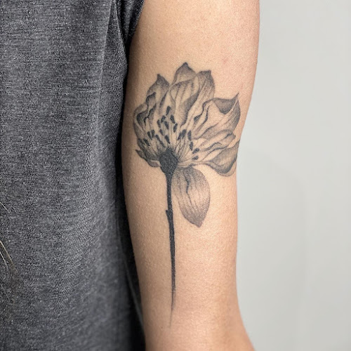 Public Tattoo tattoo shop in Long Island City, New York