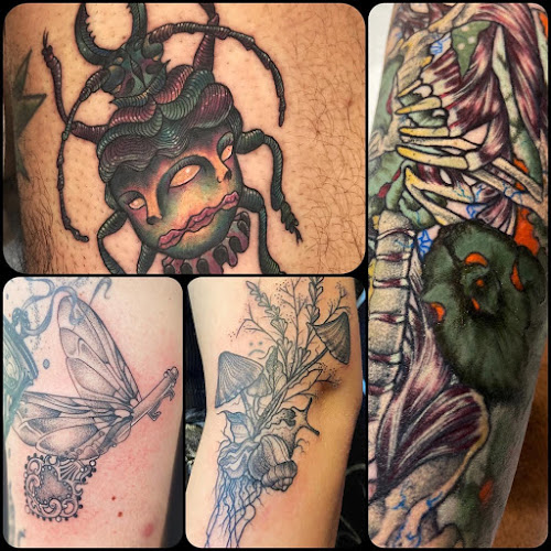 Apothic Tattoo Studio tattoo shop in Lutz, Florida