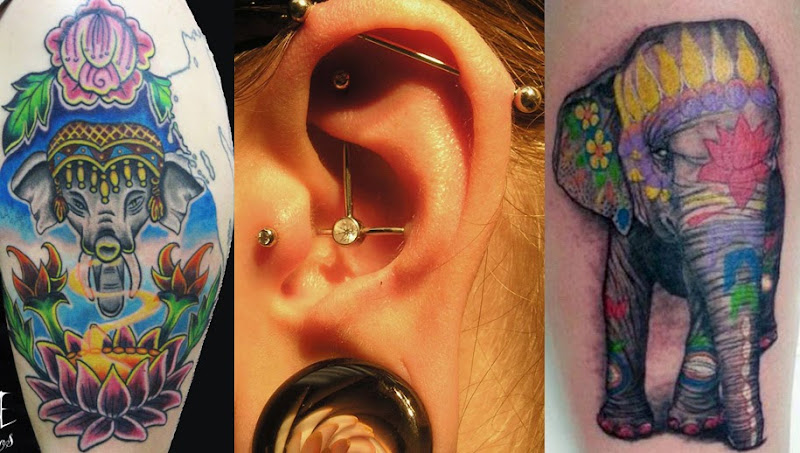 Blue Lotus Tattoo & The Piercing Lounge tattoo shop in Madison, Wisconsin