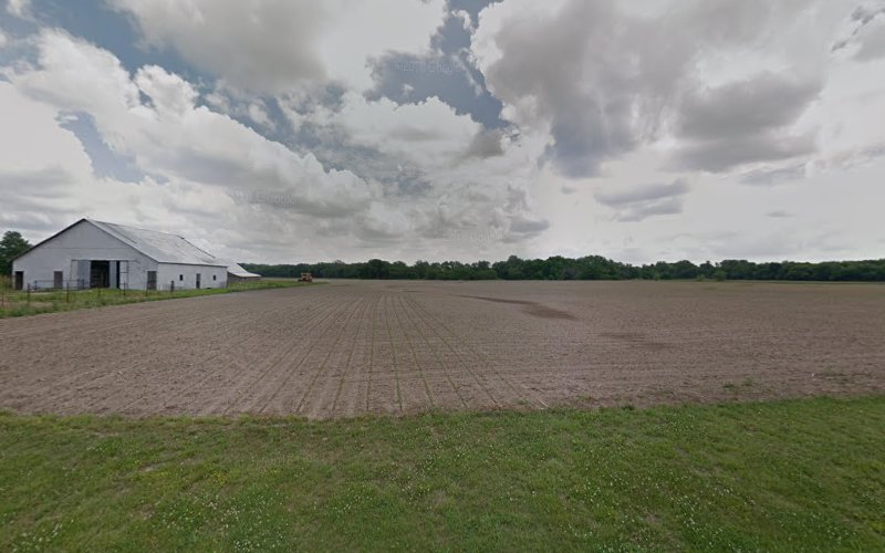 B.A.'s Tattoo Studio - Professional tattoo shop in McCune, Kansas