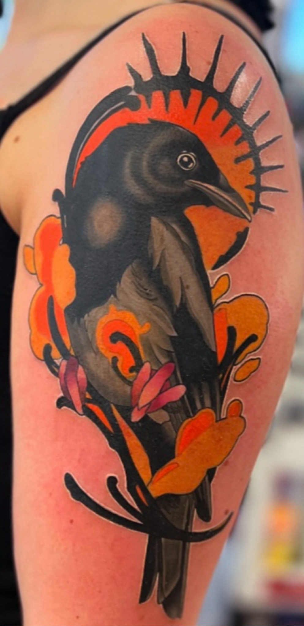 The Gilded Coil portfolio 2