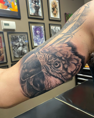 The Harbor Tattoo Studio tattoo shop in Mound, Minnesota