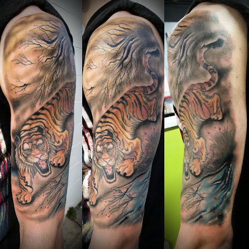 Modern Moose Studios Tattoos & Piercing tattoo shop in New Port Richey, Florida