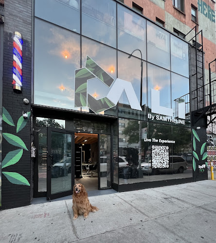 CALI By Samtheline tattoo shop in New York, New York