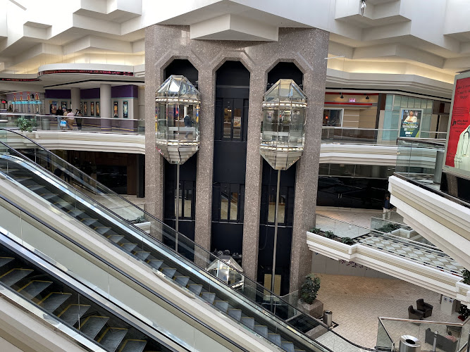 Banter by Piercing Pagoda tattoo shop in Norfolk, Virginia