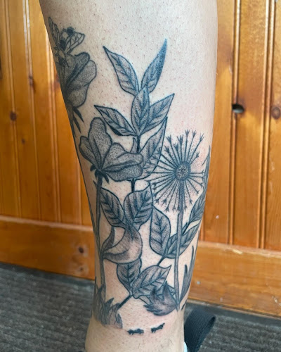 Cyne Art & Tattoo Studio tattoo shop in North Webster, Indiana