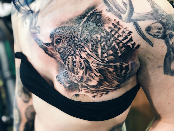 Ink Kings Tattoo tattoo shop in Otsego, Minnesota