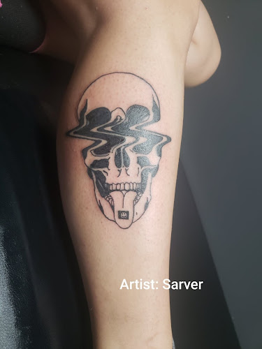 Precision Art tattoo shop in Ottawa, Illinois