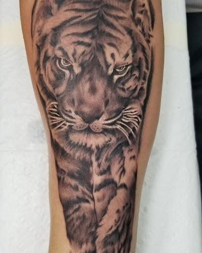 Purple Rose Tattoos & Piercings tattoo shop in Ottawa, Kansas