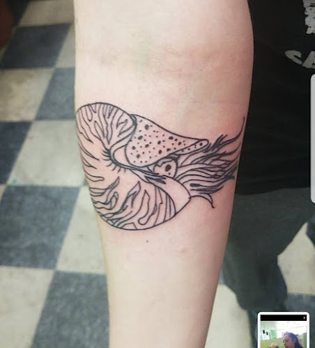 Tip Top Tattoo tattoo shop in Port Richey, Florida