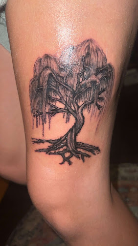 The Noble Owl Tattoo Studio and Art Collective tattoo shop in Red Hook, New York