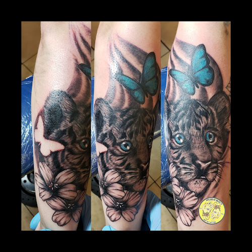 Rude Tattoo Gallery tattoo shop in Roanoke, Virginia