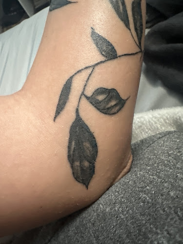 7 Sins Tattoo tattoo shop in Rochester, New York