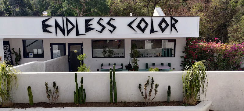Endless Color tattoo shop in Topanga, California
