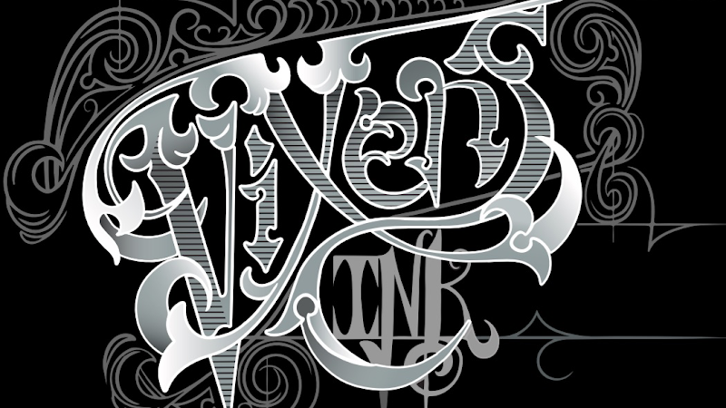 Vixens Ink tattoo shop in Topeka, Kansas