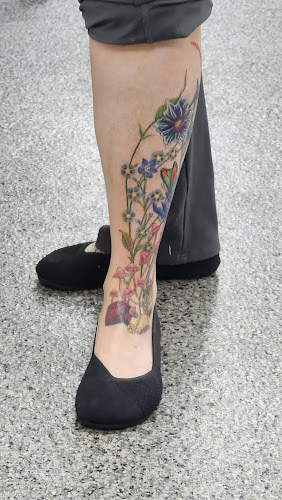 Third Eye Tattoo tattoo shop in Urbana, Illinois