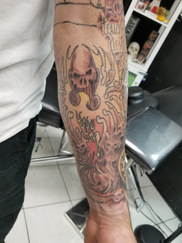 Wildlife Tattoo & Piercing tattoo shop in Winnetka, California