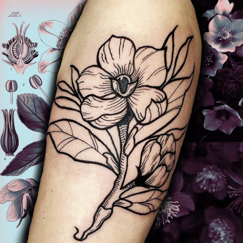 Mended Art Studios tattoo shop in Wyandotte, Michigan